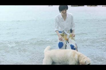 滝川クリステル、海辺で犬と散歩　『バファリン プレミアム』新TVCM