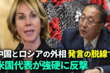 コロナ禍をめぐり国連会議で中露VSアメリカが熱い口戦　国連議長は知らないふり