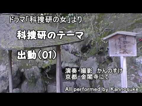 ドラマ 科捜研の女 サントラ Bgm 科捜研のテーマ 出動01 カバー Tkhunt