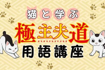 新日曜ドラマ『極主夫道』猫と学ぶ 極主夫道用語講座【カチコめ！】10月11日よる10時30分スタート！