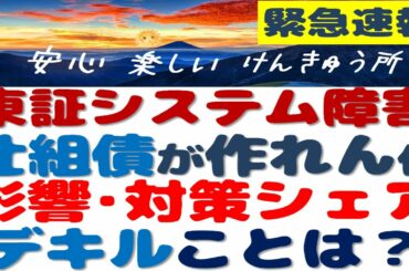 東証システム障害～できる対策は？ジェイコム誤発注BNF氏20億？障害の歴史？過誤処理？証券会社が補填？簡単解説！