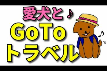 【犬 旅行】GoToトラベルキャンペーン！愛犬とはじめての旅行！どこに行けばいい？注意点は？【犬のしつけ＠横浜】by遠藤エマ先生