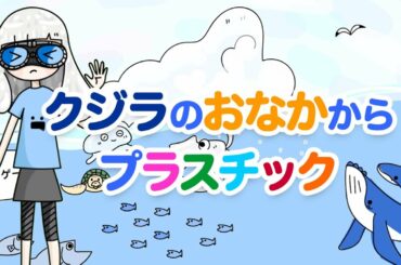 クジラのおなかから大量の【プラスチックゴミ】が出てきました！（海洋汚染の問題）