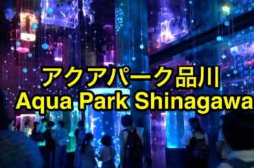 マクセル アクアパーク品川 | 見応えたっぷりの水族館 | maxell AQUA PARK SHINAGAWA | Aquarium in TOKYO