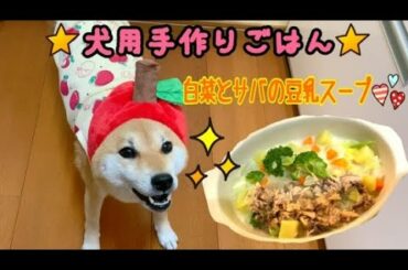 犬用手作りごはん〝白菜とサバの豆乳スープ〟でご機嫌な相棒(*^◯^*)