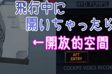 【フライトシム】高度1万メートルでドア開放！？（ゆっくり実況プレイ）