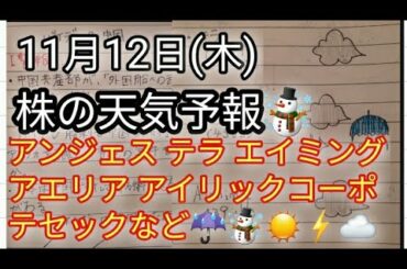 ☃️【株の天気予報】テラ、アンジェス、エイミングの今日の天気、今日は日経平均最後の上昇と予想🤔