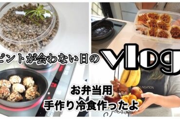 【vlog】お弁当用手作り冷食