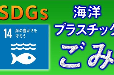 海洋プラスチックごみ問題と私たちができること【SDGs】