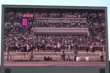 ２０１４年　秋華賞　ファンファーレ　in　中京競馬場