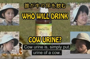 Who will DRINK COW URINE?! Oshima Adventure Squad with Kimura Yoshino (木村 佳乃) - English Sub