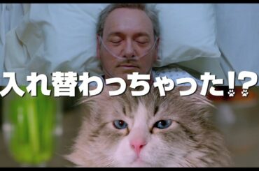 映画『メン・イン・キャット』 君のニャは。編① ＠11/25（金）全国ロードショー！