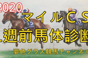 【1週前馬体診断】2020マイルチャンピオンシップ！グランアレグリアは良く見せないタイプ？