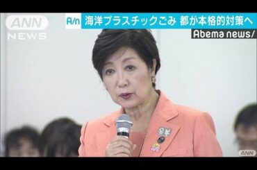 海のプラスチックごみ　東京都が対策に向け検討(18/08/25)