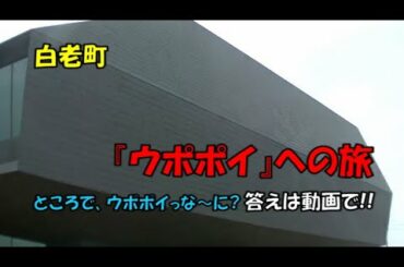 【ひとり旅】白老町『ウポポイ』の旅!!　【北海道】【観光】【旅行】