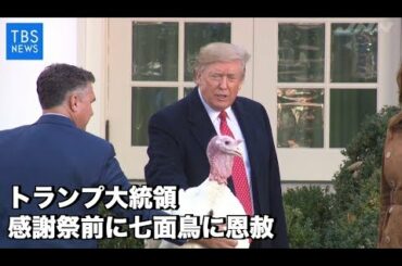 トランプ大統領、感謝祭前に七面鳥に恩赦