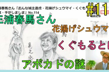 三浦春馬さん「おんな城主直虎・花揚げシュウマイ・くぐもるとは・手がしましま」No.114