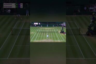 Wimbledon 錦織圭の股抜きショット