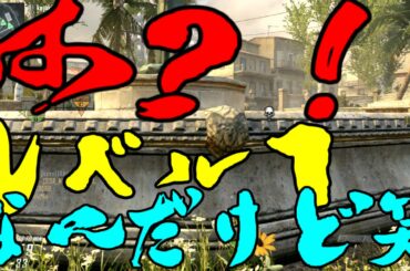 【BO2実況】レベル１でなんでバレるんだゴラァァァァァ【ハイグレ玉夫】