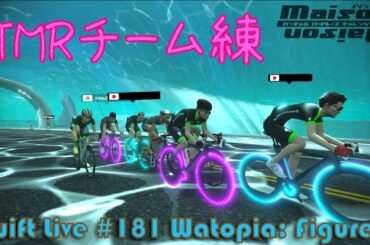 【Zwift Live #181】NYから毎日配信！！メゾンメゾンに向けてTMRチーム練習！ "Watopia: Figure 8"