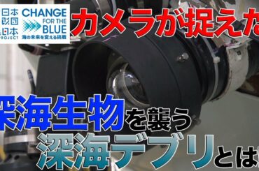 深海調査で続々発見 富山湾の海底に沈むプラスチックごみ 日本財団 海と日本PROJECT in 富山県 2019 #22