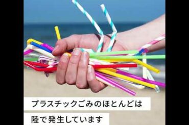 海洋プラスチックのごみにはどんな種類がある？