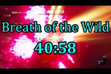 【RTA】ゼルダの伝説 ブレスオブザワイルド 40:58でクリア【字幕解説】