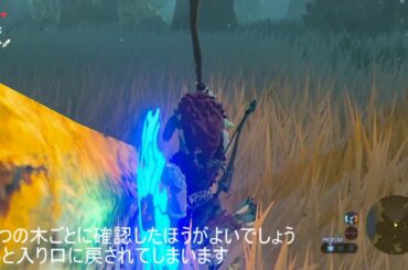 #迷いの森 攻略方法 場所 ゼルダの伝説 ブレスオブザワイルド