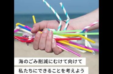 海洋プラスチックごみとは？海のごみ削減にむけて向けて私たちにできること