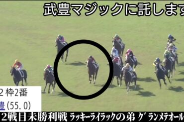 ﾗｯｷｰﾗｲﾗｯｸの弟 グランメテオールが抹消ピンチ!!【競馬】レース スポーツ