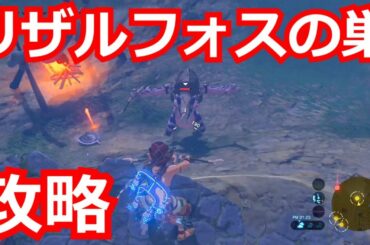 [ゼルダの伝説]英傑たちの詩/リザルフォスの巣攻略