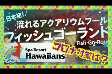 【ハワイアンズ】日本初！流れるアクアリウムプール！フィッシュゴーランド！を一周します！南国の魚たちとの海中散歩をコンセプトに今までにないまったく新しいプールを実現させました♪【mucciTV】【4K】