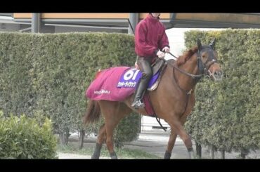 【大阪杯】ラッキーライラック・松永幹夫調教師　天才娘、牡馬をも制す