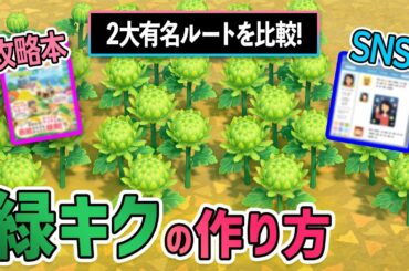 緑キクの作り方「攻略本ルートとTwitterで有名なルートを比較！どっちがいい？メリットを徹底比較【あつ森】