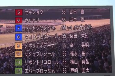 ２０１３年　秋華賞　ファンファーレ　in　中京競馬場