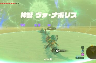 [ゼルダの伝説]雷の神獣ヴァ・ナボリス戦/ミニチャレンジ・秘密クラブの秘密