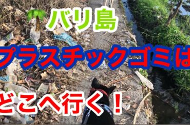 バリ島プラスチックごみはどこへ行く！