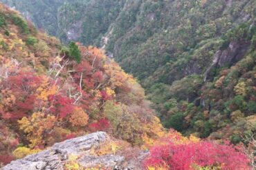 20161022 大台ケ原 大蛇嵓