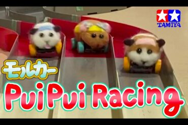 【PUI PUIレーシング】ミニ四駆モルカー