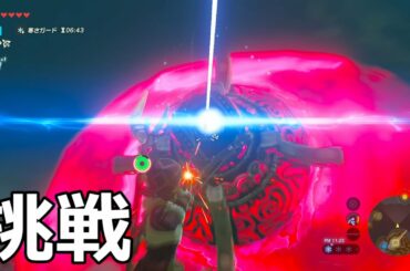 [ゼルダの伝説]風の神獣ヴァ・メドーに挑戦!!!