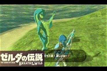 【流された嫁 : フーキュのイベント】 攻略 ゼルダの伝説 ブレスオブザワイルド  "A Wife Washed Away" Zelda ; BREATH OF THE WILD