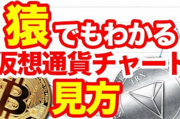 【初心者向け】仮想通貨チャートの見方!ローソク足とは?分析に必須!リップルネム等リアルタイムの価格の読み方 MT4アプリコインチェックチャートで使えるおすすめ動画 最前線暗号通貨ニュースをご紹介