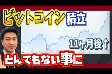 ビットコインの積立 /11カ月後の結果は？/【仮想通貨（暗号資産）】