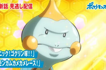 【公式】アニメ「ポケットモンスター」第58話「パニック！ゴクリン球！！」「カモンカムカメカメレース！」（見逃し配信）