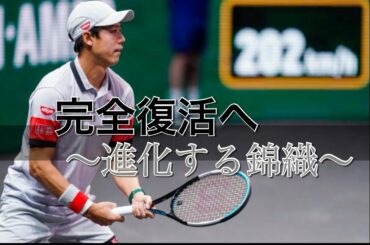 【テニス分析】錦織圭の新スタイルを徹底分析！　目指すはフェデラー！？ 錦織圭 vs デミノー