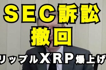 リップル XRP SEC訴訟 撤回・取り消し 暴騰する可能性 ビットコイン 最高値を更新し続けるとbitcoinが増えていくトレード手法