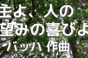 【ピアノ①-2】主よ、人の望みの喜びよ　バッハ作曲 　ピアノ演奏Rei　♪　J.S.Bach　Jesu, Joy Of Man's Desiring　Piano：Rei