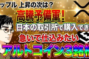 【ビットコイン教室】リップル上昇の次は？高騰予備軍！日本の取引所で購入できる急いで仕込みたいアルトコイン３銘柄！