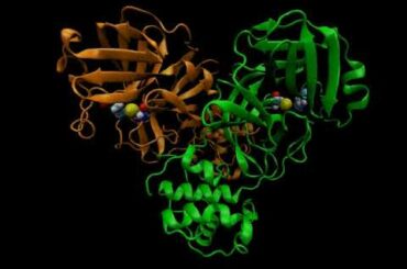 新型コロナウイルス（SARS-CoV-2）メインプロテアーゼの分子動力学シミュレーションデータを公開