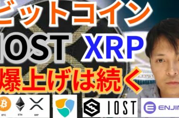 【仮想通貨BTC, ETH, XRP, IOST, NEM, ENJ】ビットコイン、リップル、IOST爆上げは続く